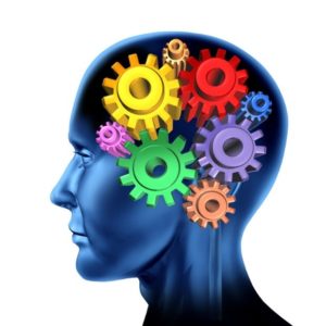 An image of a head with cogs and gears inside, conceptualizing the microlearning going on