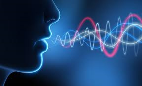 Using Voice to Maximize Learning